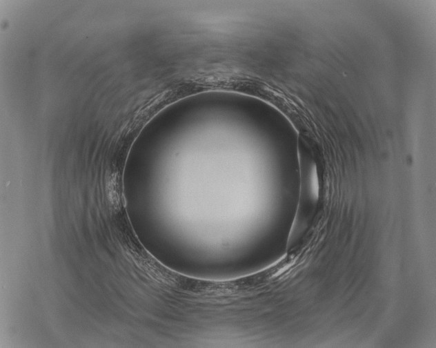 X0000073431156200608111253