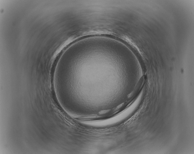 X0000073431173200608111252