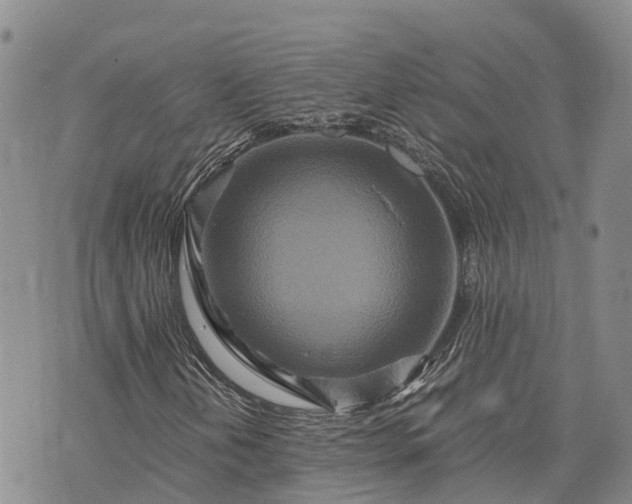 X0000073431202200608111251