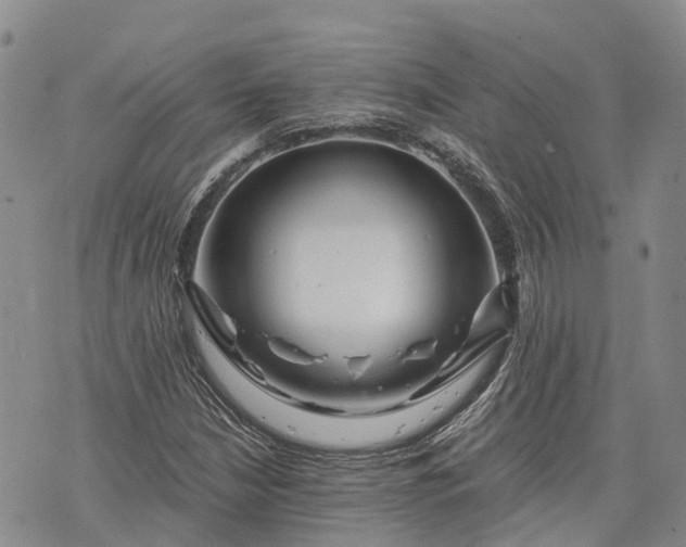 X0000073431210200608111251