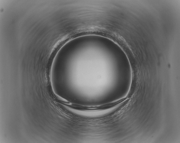 X0000073431218200608111251