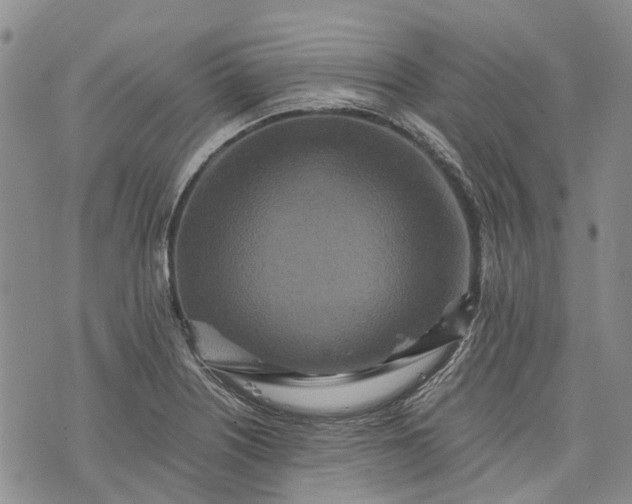X0000073431226200608111252