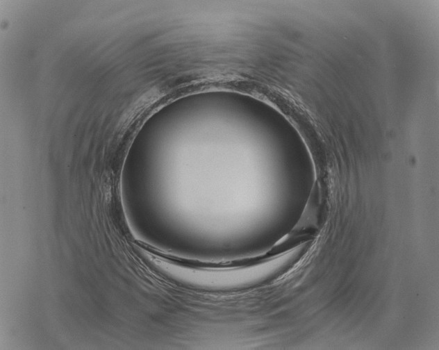 X0000073431257200608111251