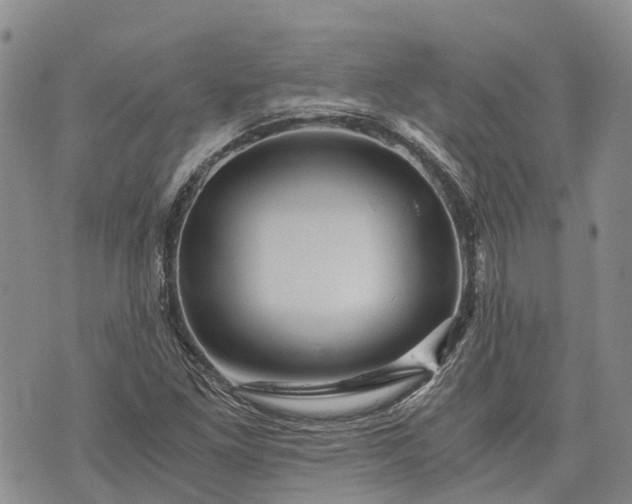 X0000073431261200608111251