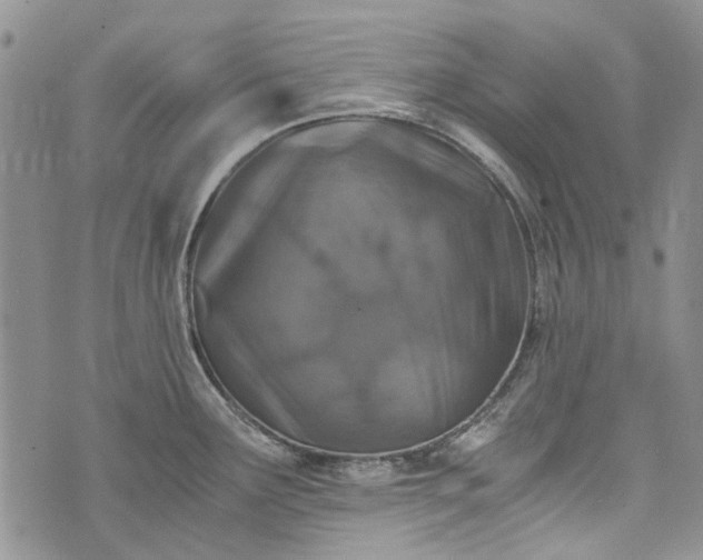 X0000073431291200608111250