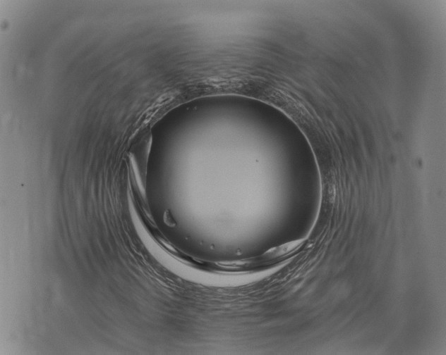 X0000073431298200608111250