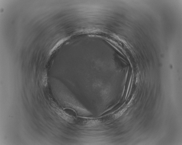 X0000073431306200608111250