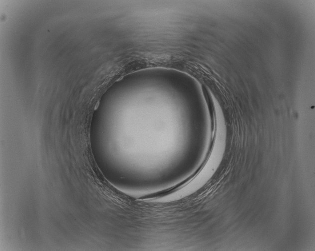 X0000073431345200608111250