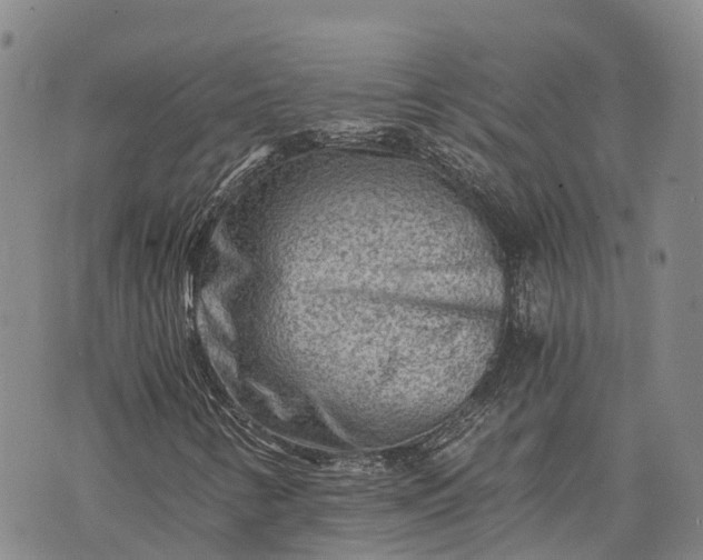 X0000073431346200608111250