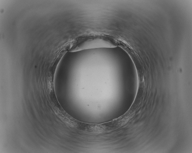 X0000073431348200608111250