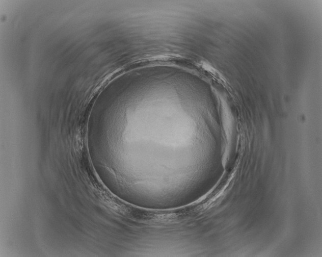 X0000073431353200608111249