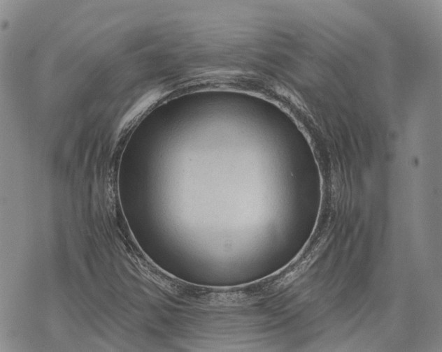 X0000073431354200608111249