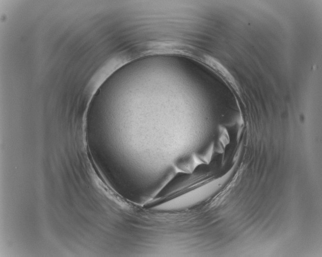 X0000073431386200608111249