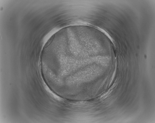 X0000073431387200608111249