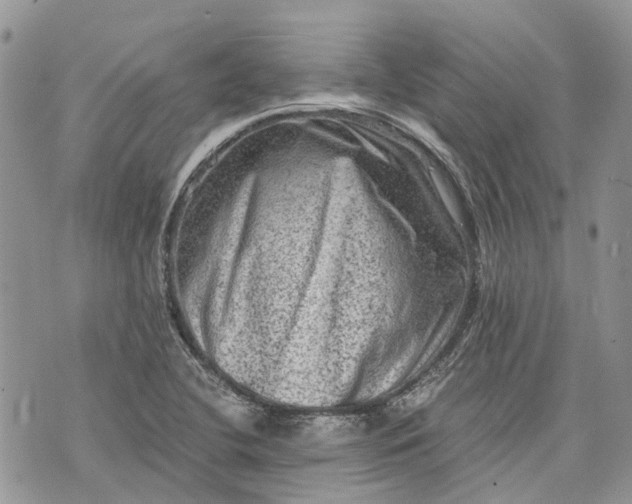 X0000073431412200608111248