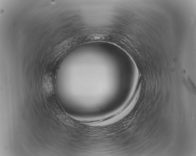 X0000073431442200608111248