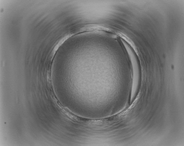 X0000073431481200608111247