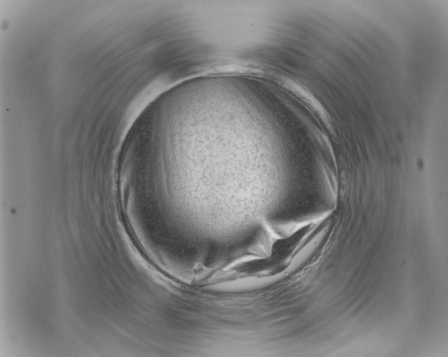 X0000073431483200608111247