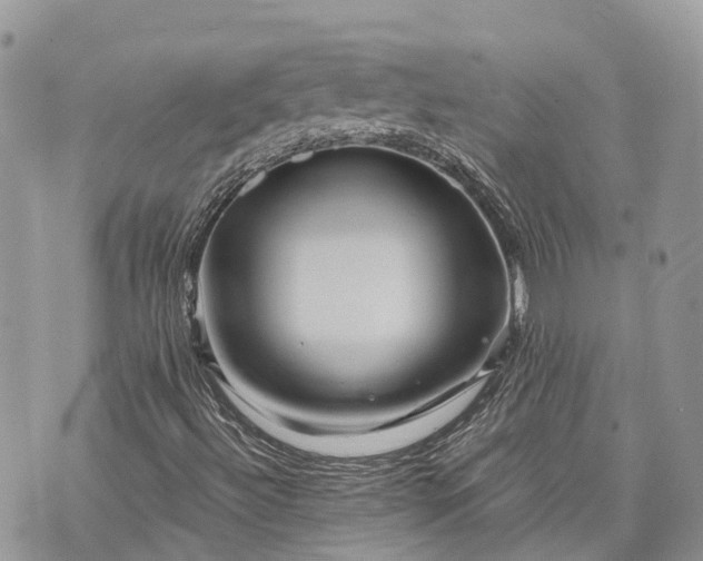 X0000073431492200608111247