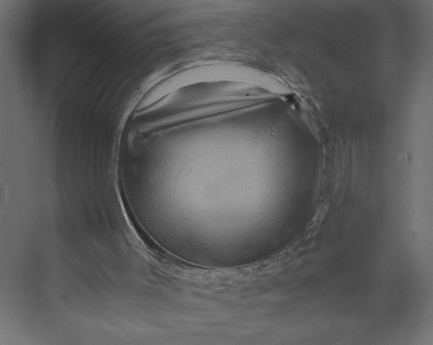X0000073430003200608181159