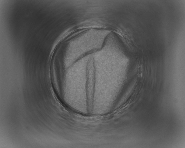 X0000073430004200608181159