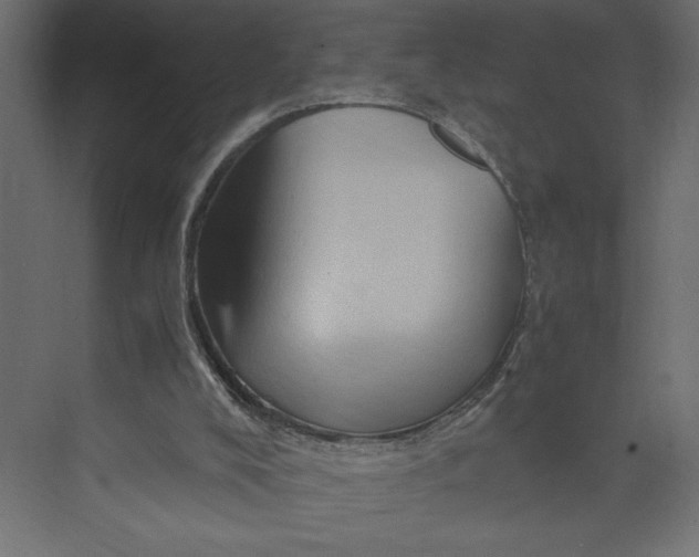 X0000073430008200608181159