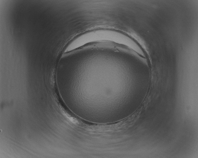 X0000073430009200608181159
