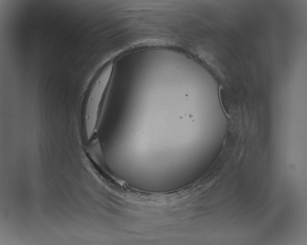 X0000073430015200608181159