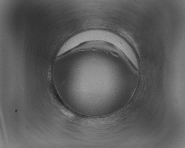 X0000073430017200608181158