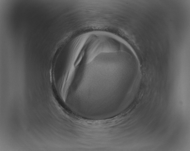 X0000073430019200608181158