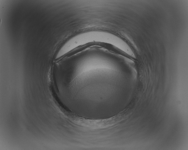 X0000073430023200608181158