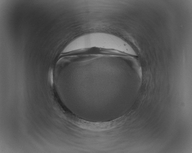 X0000073430027200608181158