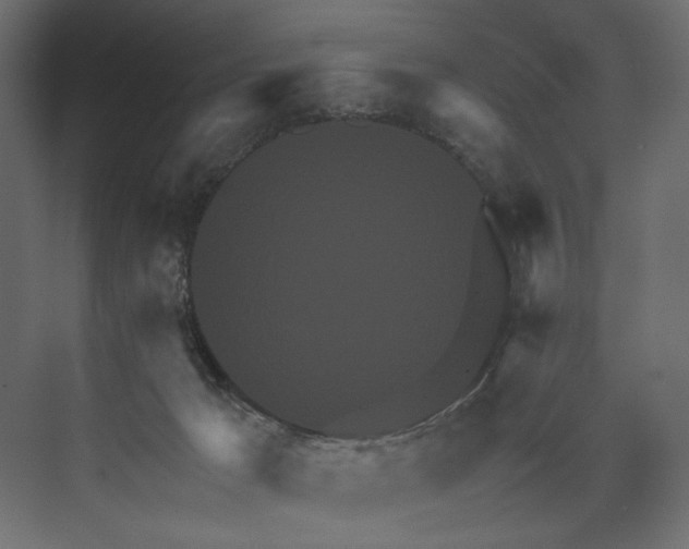 X0000073430029200608181158