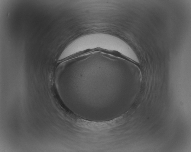 X0000073430031200608181158