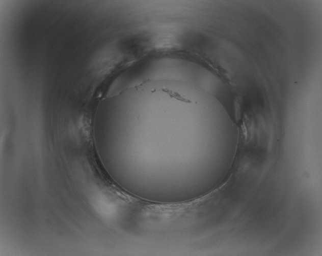 X0000073430033200608181158