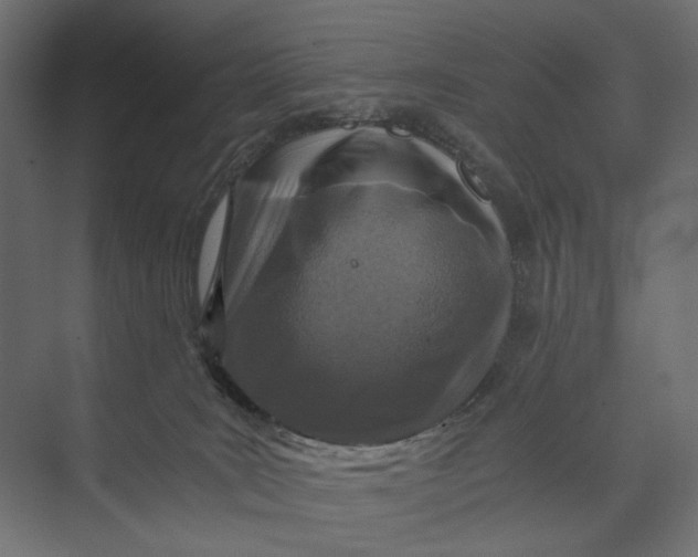 X0000073430035200608181158