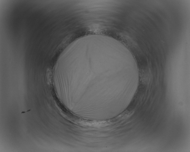 X0000073430036200608181158