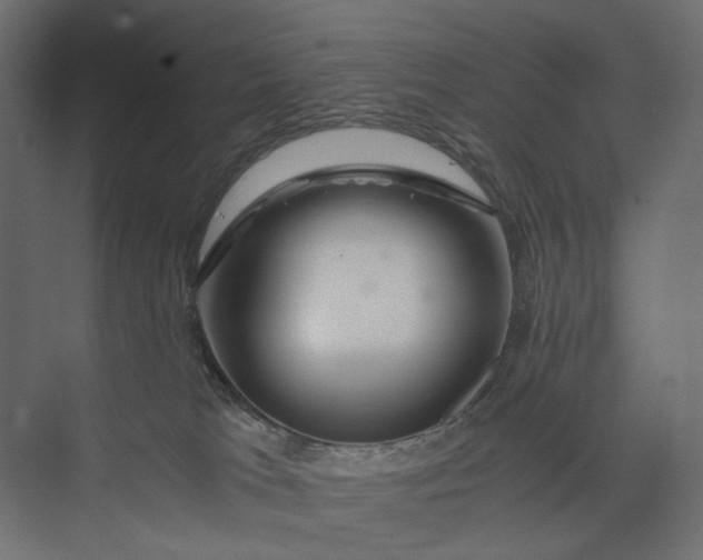 X0000073430037200608181158