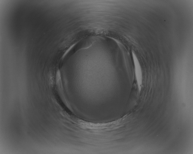 X0000073430039200608181158
