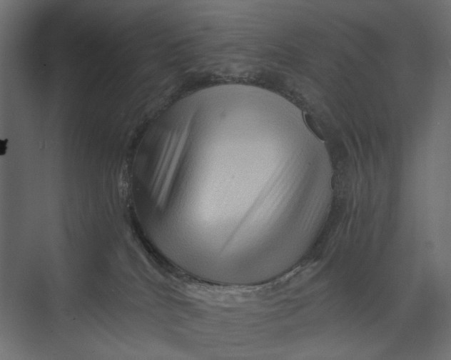 X0000073430040200608181158