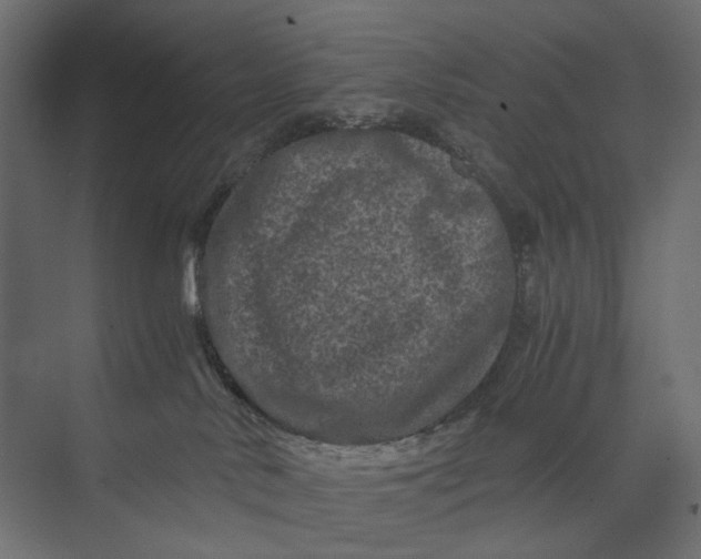 X0000073430042200608181158
