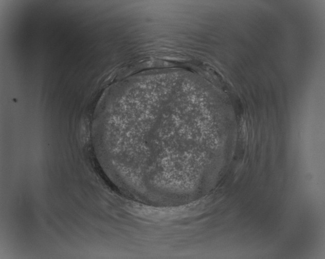 X0000073430043200608181158