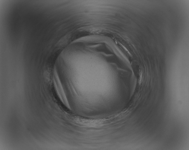 X0000073430044200608181158