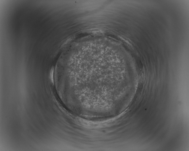 X0000073430047200608181158