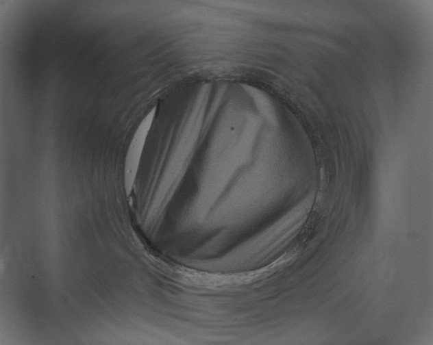 X0000073430048200608181158