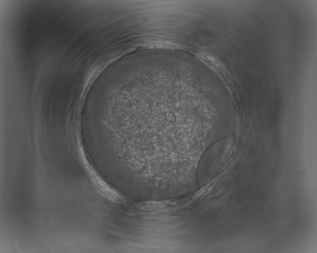 X0000073430049200608181157