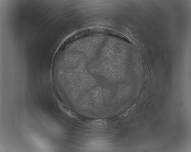 X0000073430050200608181157