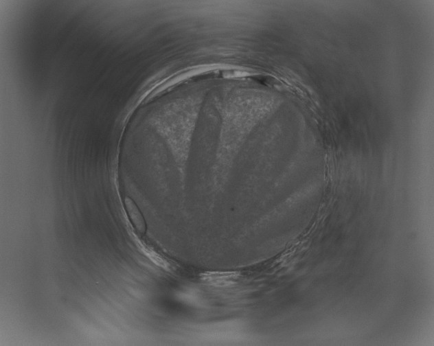 X0000073430051200608181157