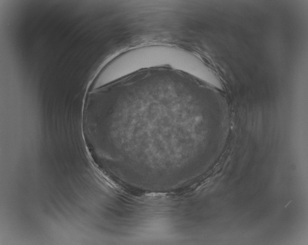 X0000073430052200608181157