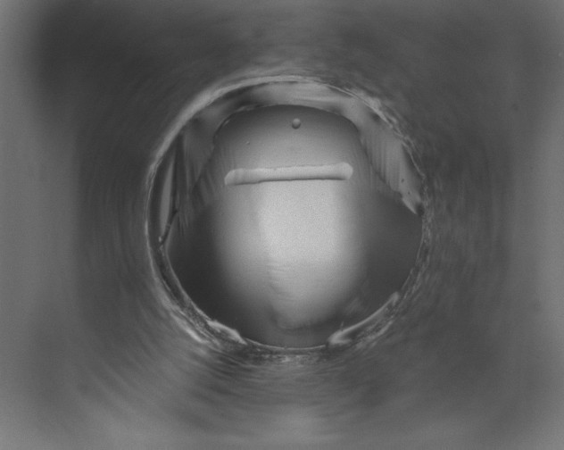 X0000073430056200608181157
